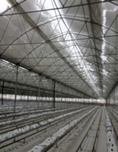 Modern Sera Sistemleri: Anahtar Teslim Sera Sistemleri