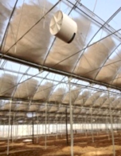 Modern Sera Sistemleri: Anahtar Teslim Sera Sistemleri