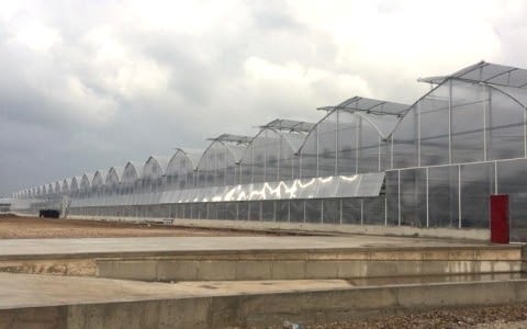 Süs Bitkileri Serası