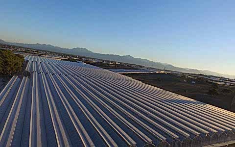 Tohum Islah Seraları