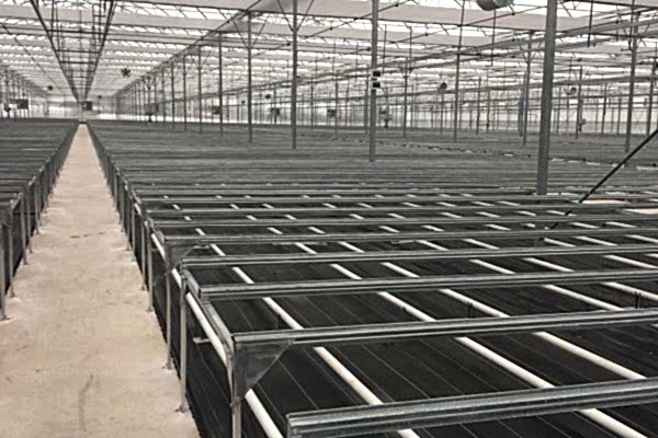 Modern Sera Sistemleri: Anahtar Teslim Sera Sistemleri