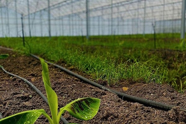 Modern Sera Sistemleri: Anahtar Teslim Sera Sistemleri