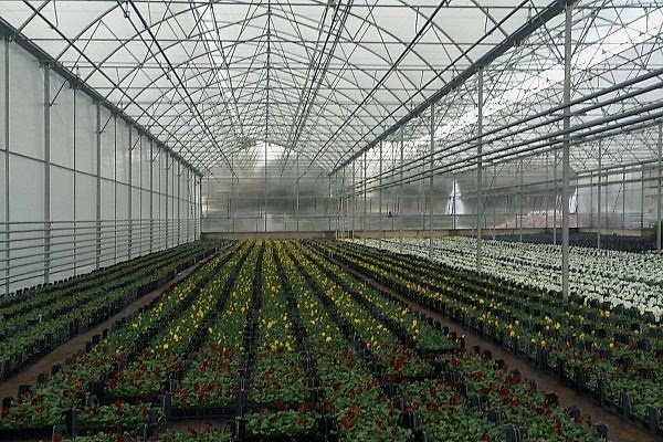 Modern Sera Sistemleri: Anahtar Teslim Sera Sistemleri