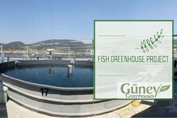 Modern Sera Sistemleri: Anahtar Teslim Sera Sistemleri