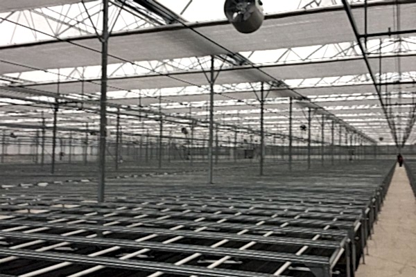 Modern Sera Sistemleri: Anahtar Teslim Sera Sistemleri