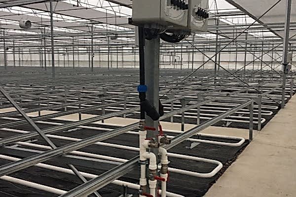 Modern Sera Sistemleri: Anahtar Teslim Sera Sistemleri