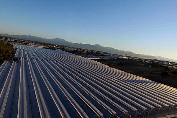 Modern Sera Sistemleri: Anahtar Teslim Sera Sistemleri