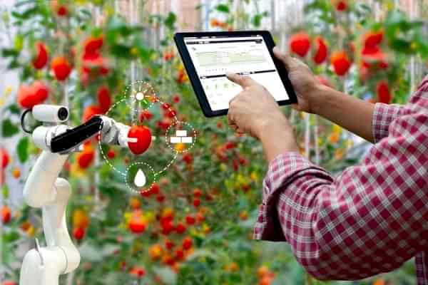 İklim Kontrol Sistemi