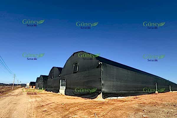 Modern Sera Sistemleri: Anahtar Teslim Sera Sistemleri