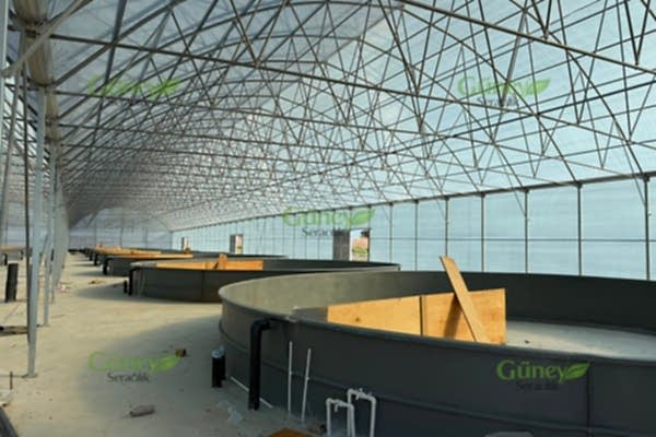 Modern Sera Sistemleri: Anahtar Teslim Sera Sistemleri