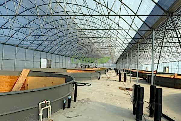 Modern Sera Sistemleri: Anahtar Teslim Sera Sistemleri