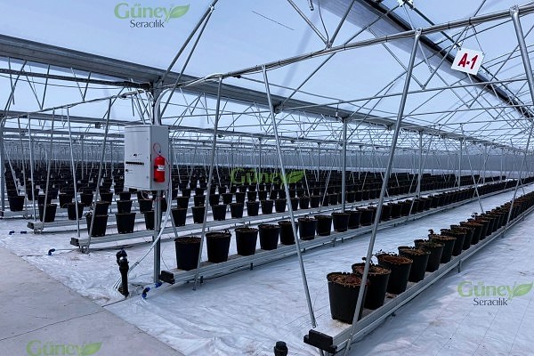 Modern Sera Sistemleri: Anahtar Teslim Sera Sistemleri