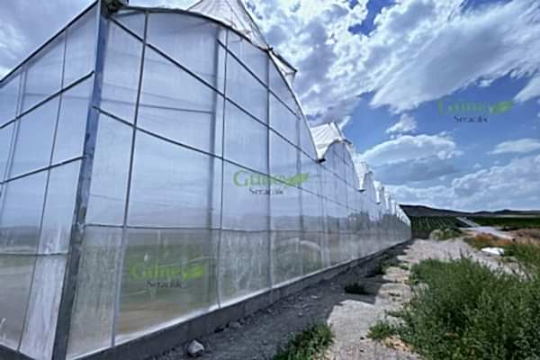 Modern Sera Sistemleri: Anahtar Teslim Sera Sistemleri