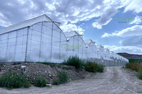 Modern Sera Sistemleri: Anahtar Teslim Sera Sistemleri