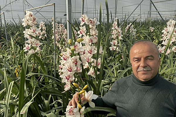 Modern Sera Sistemleri: Anahtar Teslim Sera Sistemleri