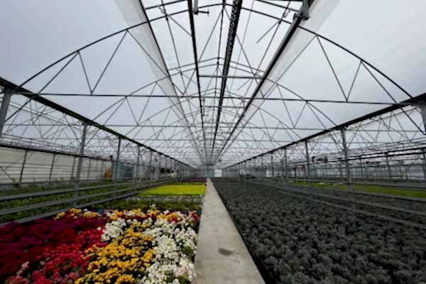 Modern Sera Sistemleri: Anahtar Teslim Sera Sistemleri