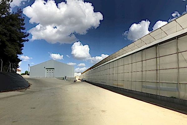 Modern Sera Sistemleri: Anahtar Teslim Sera Sistemleri