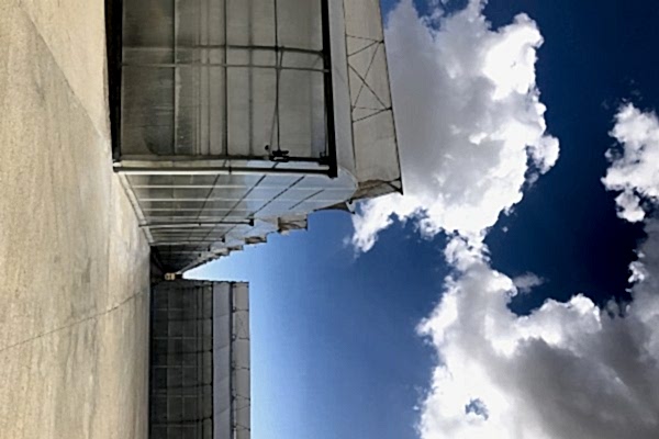 Modern Sera Sistemleri: Anahtar Teslim Sera Sistemleri