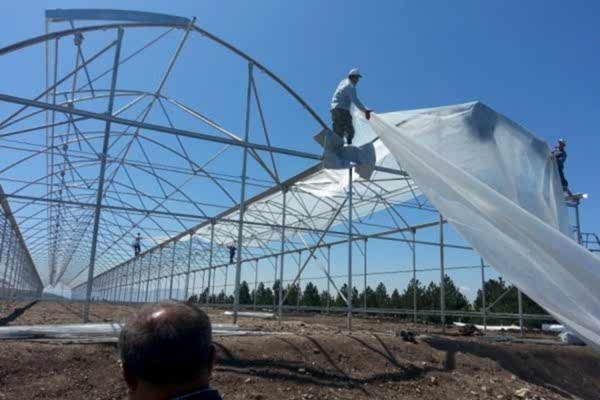 Plastik Sera Örtüsü