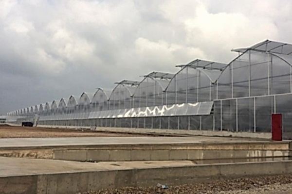 Modern Sera Sistemleri: Anahtar Teslim Sera Sistemleri