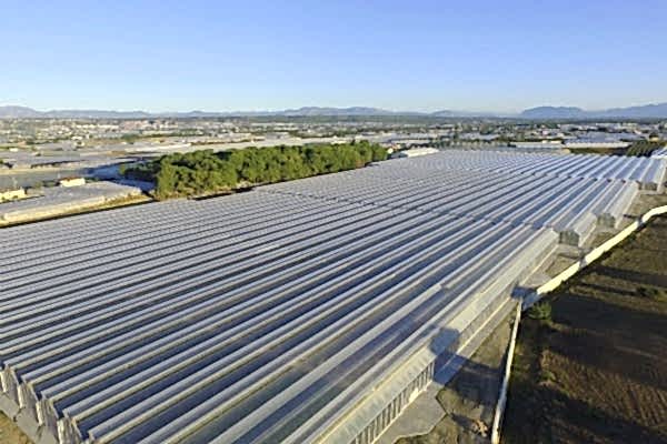 Modern Sera Sistemleri: Anahtar Teslim Sera Sistemleri