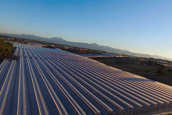 Modern Sera Sistemleri: Anahtar Teslim Sera Sistemleri