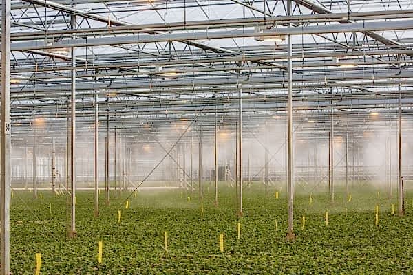 Yüksek Basınçlı Sisleme Sistemleri