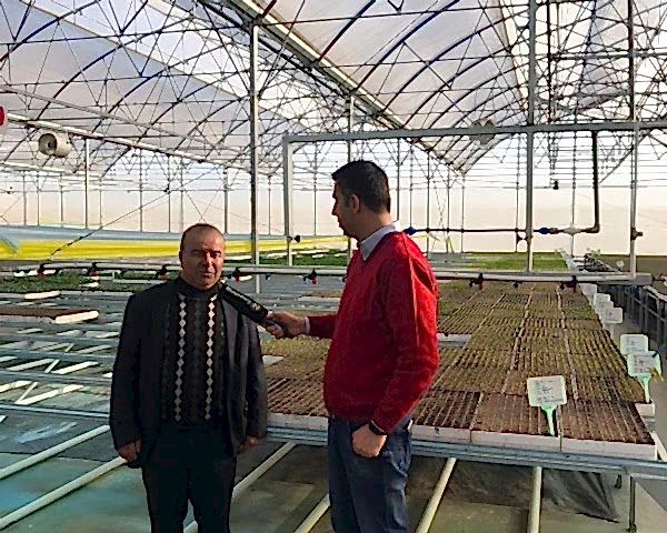 Modern Sera Sistemleri: Anahtar Teslim Sera Sistemleri