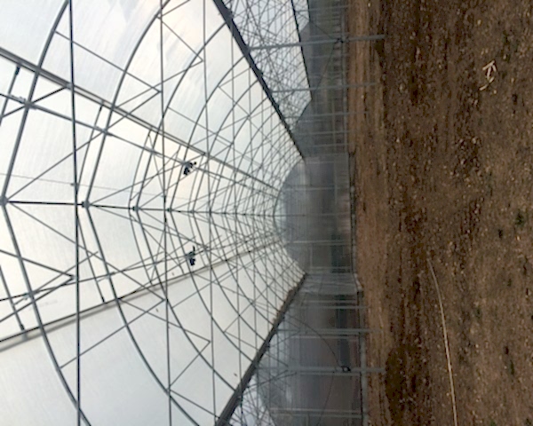 Modern Sera Sistemleri: Anahtar Teslim Sera Sistemleri