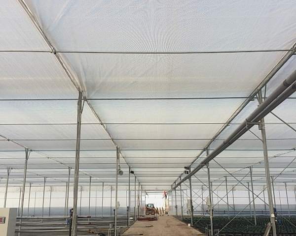 Modern Sera Sistemleri: Anahtar Teslim Sera Sistemleri