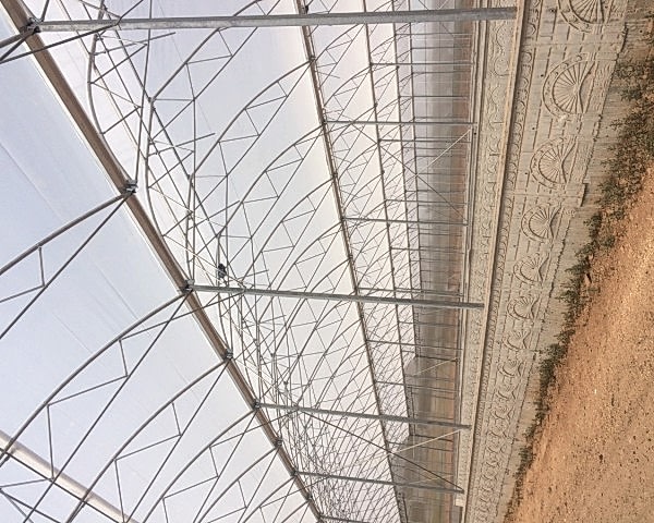 Modern Sera Sistemleri: Anahtar Teslim Sera Sistemleri