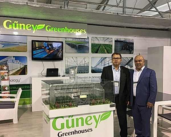 Modern Sera Sistemleri: Anahtar Teslim Sera Sistemleri