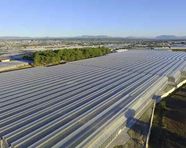 Modern Sera Sistemleri: Anahtar Teslim Sera Sistemleri