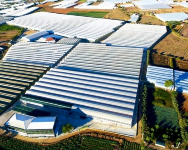 Modern Sera Sistemleri: Anahtar Teslim Sera Sistemleri