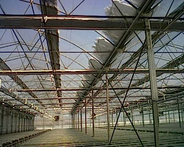 Modern Sera Sistemleri: Anahtar Teslim Sera Sistemleri