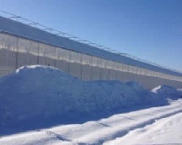 Modern Sera Sistemleri: Anahtar Teslim Sera Sistemleri