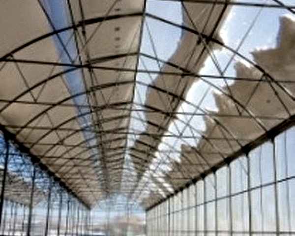 Modern Sera Sistemleri: Anahtar Teslim Sera Sistemleri