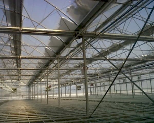 Modern Sera Sistemleri: Anahtar Teslim Sera Sistemleri