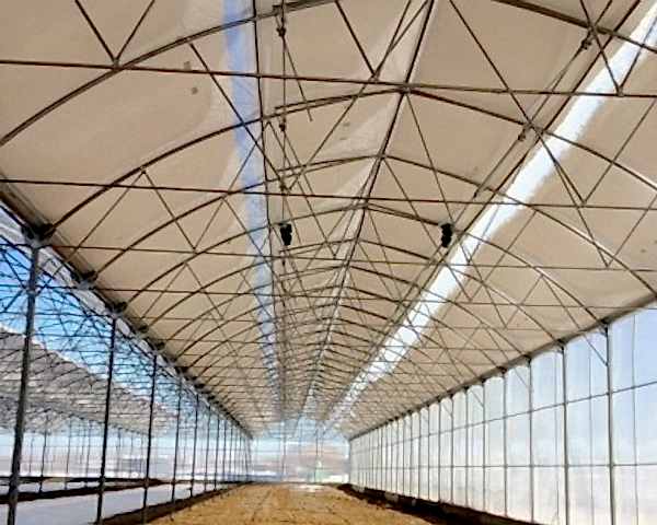 Modern Sera Sistemleri: Anahtar Teslim Sera Sistemleri