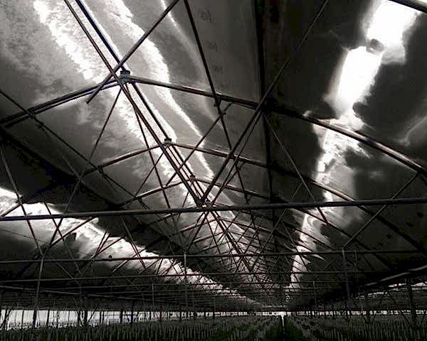 Modern Sera Sistemleri: Anahtar Teslim Sera Sistemleri