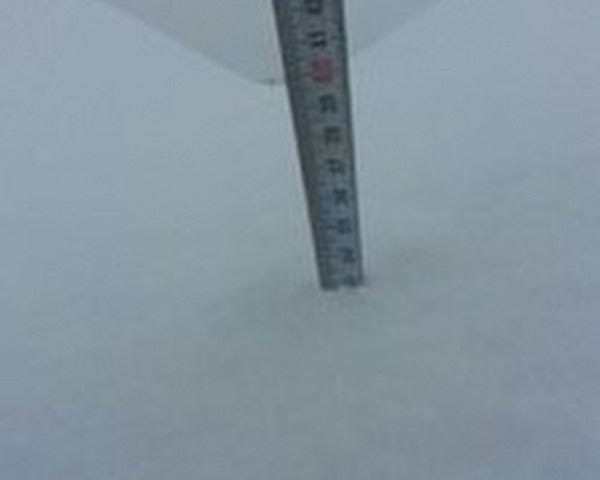 Modern Sera Sistemleri: Anahtar Teslim Sera Sistemleri