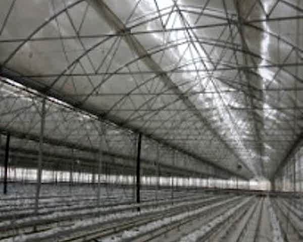 Modern Sera Sistemleri: Anahtar Teslim Sera Sistemleri