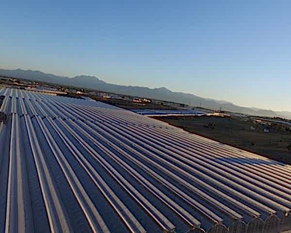 Modern Sera Sistemleri: Anahtar Teslim Sera Sistemleri