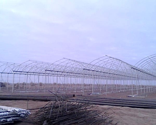 Modern Sera Sistemleri: Anahtar Teslim Sera Sistemleri